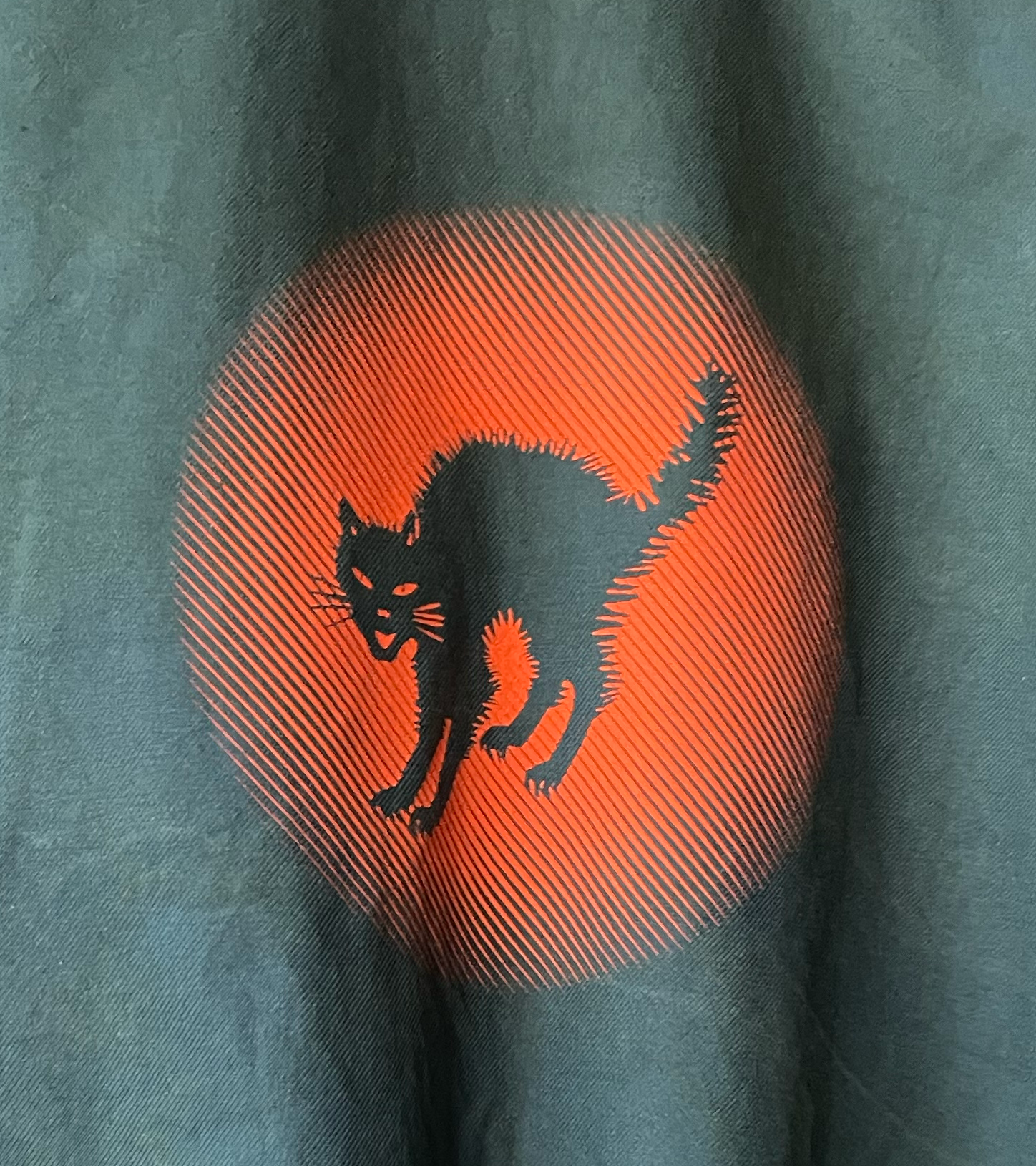 Veste 50 reteinte en vert chat 2024 orange – Image 3